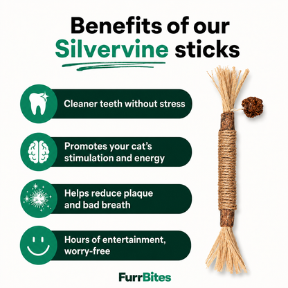 FurrBites™ Silvervine Dental Sticks for Cleaner Teeth